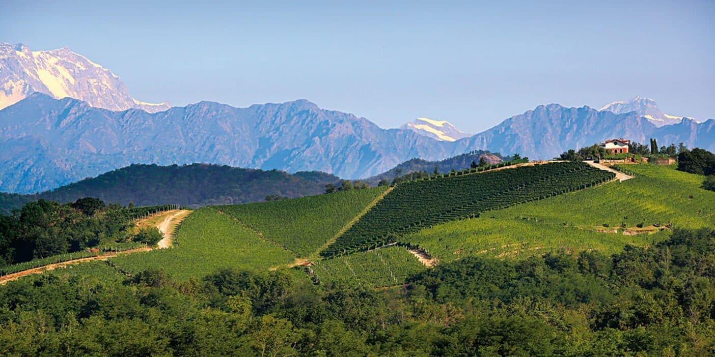 Supervulcano della Valsesia: il segreto geologico dietro il terroir unico del Gattinara DOCG