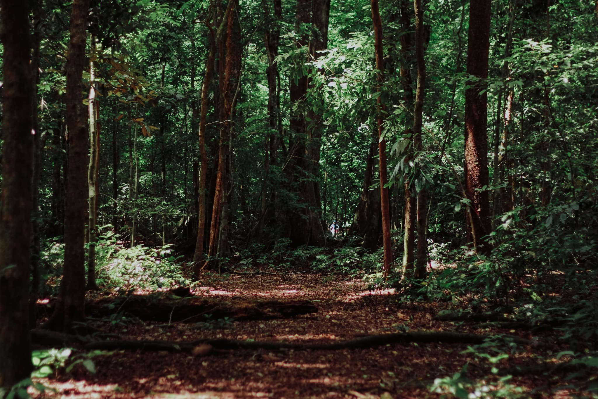 Una serata dedicata alla “Vita nel Bosco”