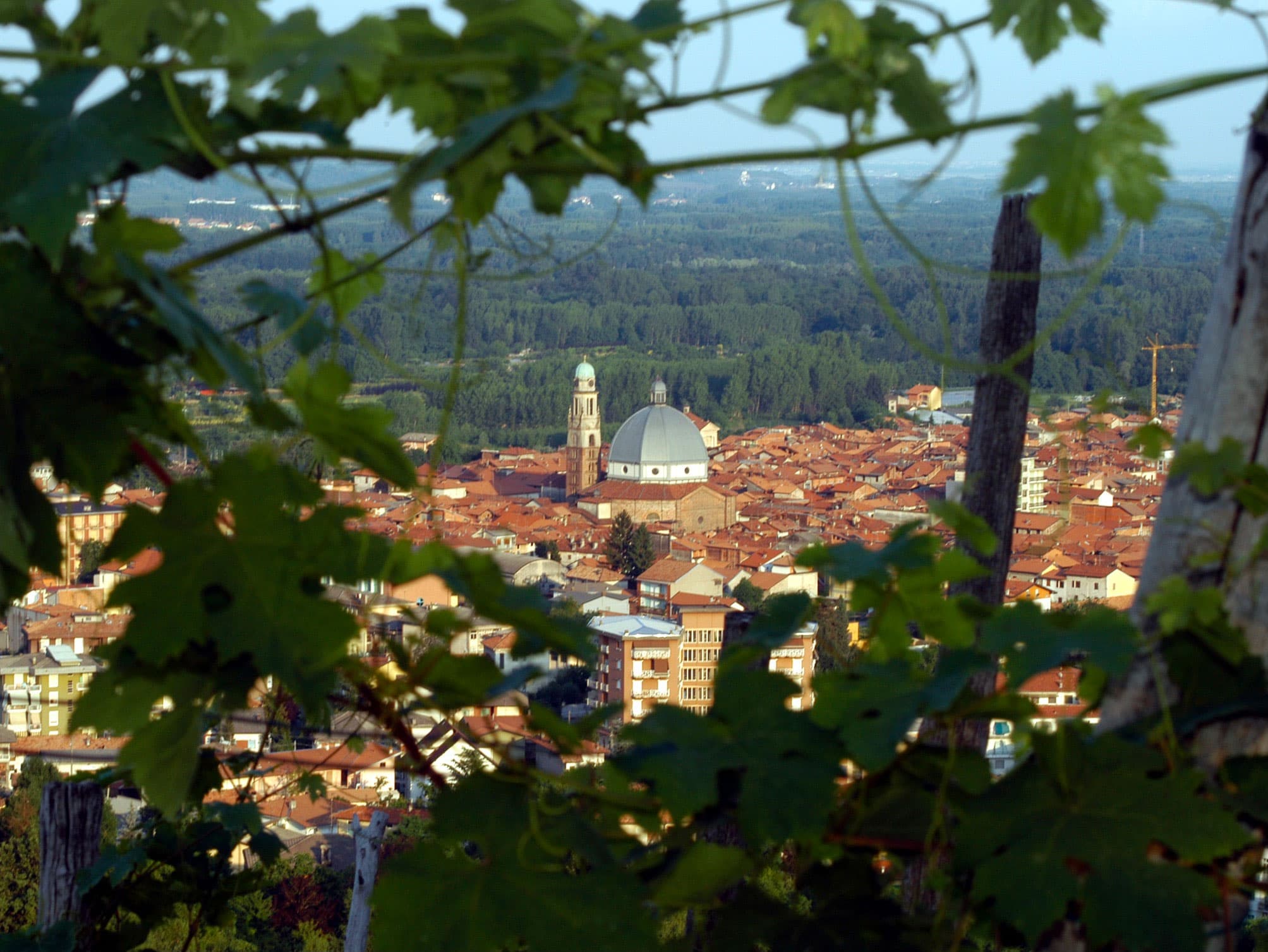 Gattinara, storia del borgo culla del pregiato vino Gattinara DOCG